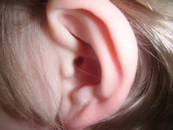 A human ear