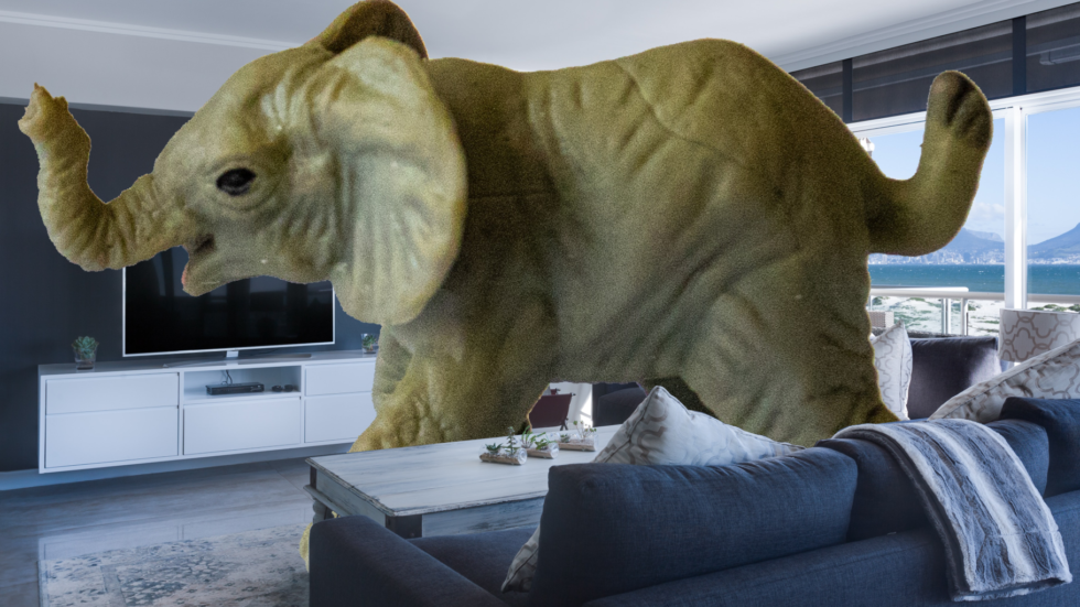 The Elephant In The Living Room Idiom